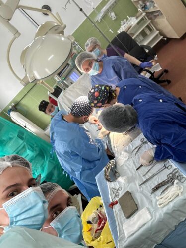 WhatsApp Image 2026-02-25 at 12.03.27