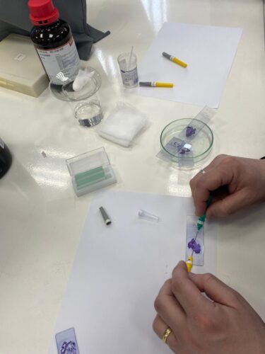 WhatsApp Image 2026-03-14 at 20.20.21 (2)