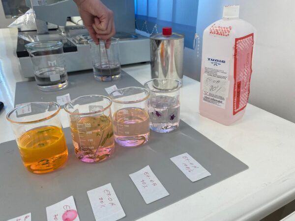 WhatsApp Image 2026-03-14 at 20.20.22 (2)