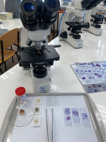 WhatsApp Image 2026-03-14 at 20.20.22 (6)