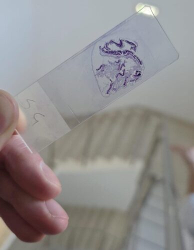 WhatsApp Image 2026-03-14 at 20.20.23 C